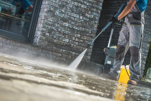 Best Roof Washing  in Belle Plaine, MN